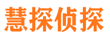 平陆私人调查